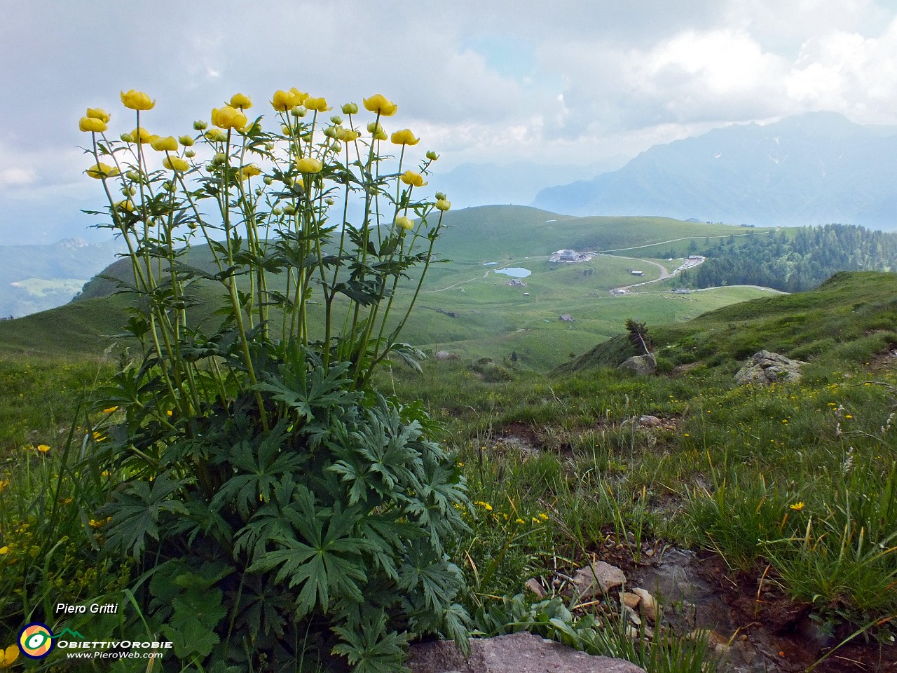 96 Botton d'oro con vista sui Piani dell'Avaro.JPG